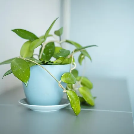 Relax Apartment *